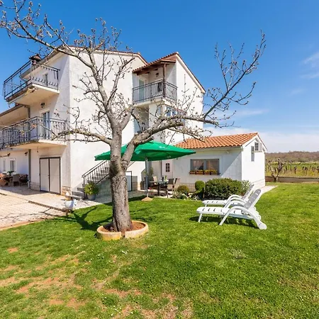 Villa Ema Veleniki